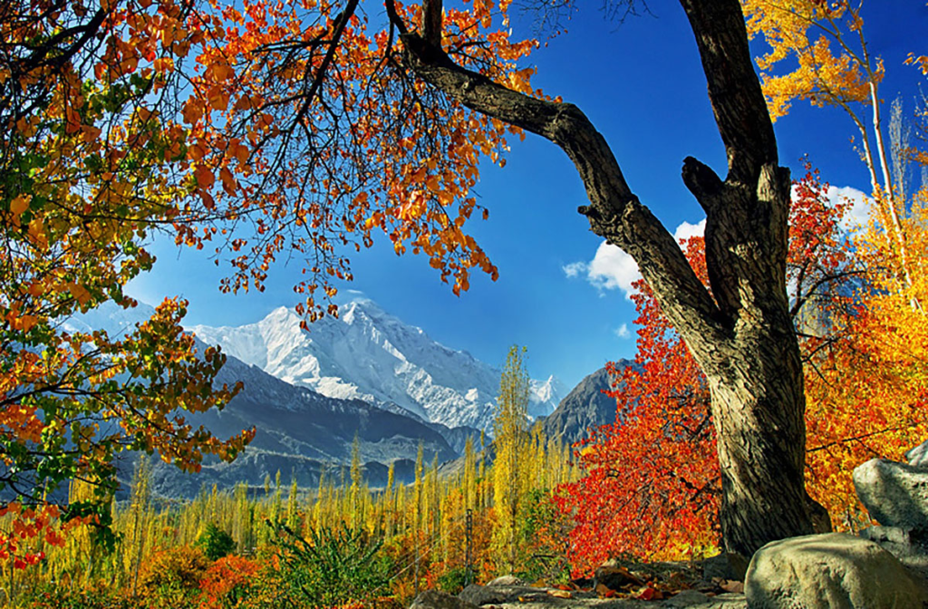 Fairy Meadows in Autumn