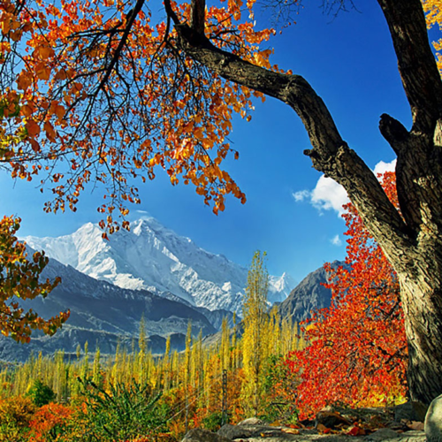 Fairy Meadows in Autumn