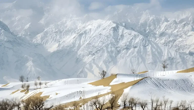 Deosai Safranga