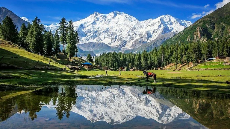 Top 10 Places to Visit in Gilgit Baltistan in Spring — You'll Never Want to Leave 5 Fairy Meadows